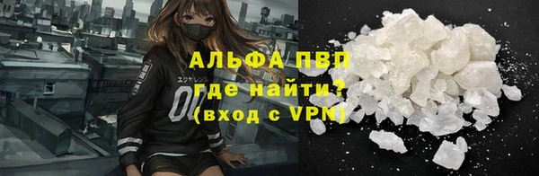 прущие грибы Тобольск