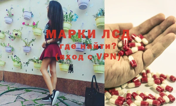 мдпв Вяземский