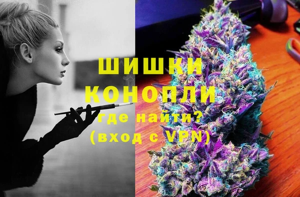 прущие грибы Тобольск