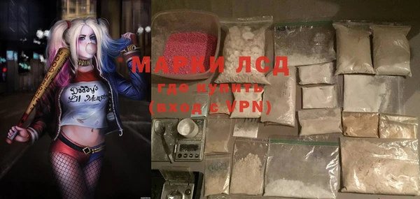 прущие грибы Тобольск