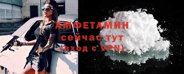 прущие грибы Тобольск