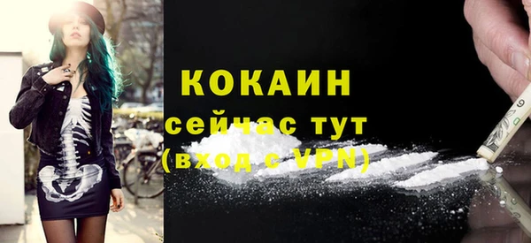 прущие грибы Тобольск
