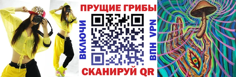 Галлюциногенные грибы Magic Shrooms  наркотики  Никольск 